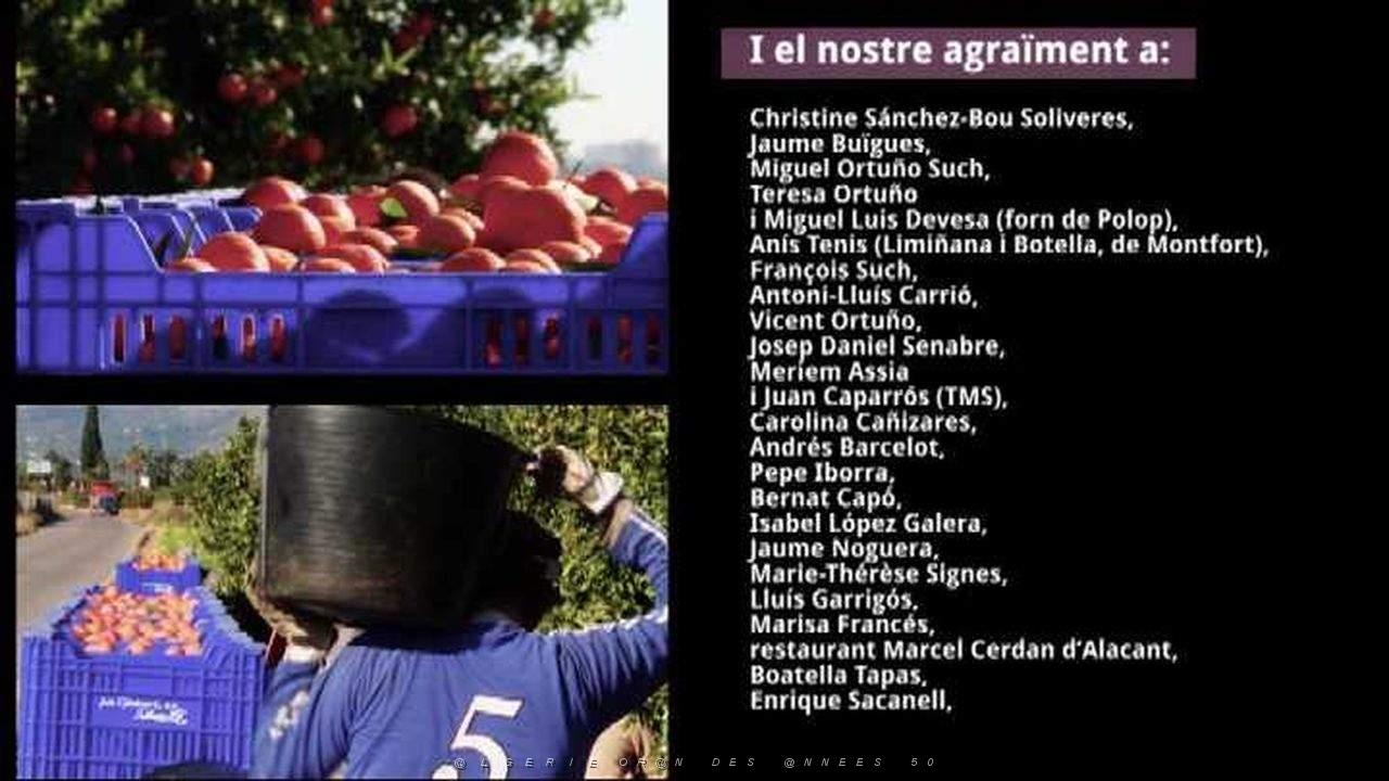 VALENCIENS EN ALGERIE 016.JPG